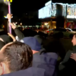 Mariam Sichinava was arrested at the rally in Zugdidi