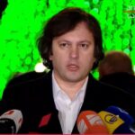 კობახიძე მზია ამაღლობელზე: სინამდვილეში, არა ჟურნალისტი, არამედ პარტიული აქტივისტია
