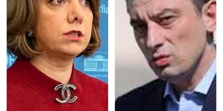 ,, აპირებენ დაწერონ განცხადებები და ჩახსნან სია, თუ კიდევ რამე არგუმენტი აქვთ, ამას რატომ არ აკეთებენ?“ – სამადაშვილი გახარიას