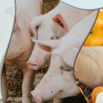 Agricultural products have increased by 4.8%annually-what caused the index change?