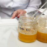Out of 100 samples of honey investigated in 2024, violations were identified in 5-National Food Agency