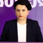 Natia Mezvrishvili: It seems that the Dream has decided to close the court sessions