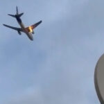 In the US, because of the bird team, the aircraft has fallen on fire (video)