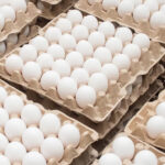 Eggs in the neighborhood are the most expensive in Georgia