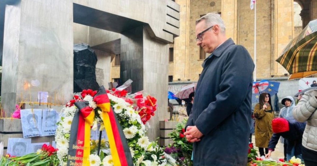 დემონსტრანტების საბჭოთა კავშირთან შედარება არასწორია – გერმანიის ელჩი
