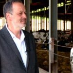 For the next 20 years, Georgian milk cannot be exported - Lasha Papashvili for reasons