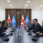 What issues did David Songulashvili discuss at the UN Regional Director in Europe and Central Asia?