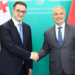 What issues did David Songulashvili talk to the Minister of Agriculture of Hungary?