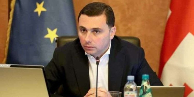 რა ქონება აქვს თბილისის ახალ ვიცე-მერს?