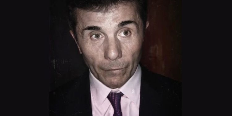 “არც გიგანტური ხეების აქეთ-იქით თრევა იყო შემთხვევითი და არც ის, ტყეს ბადე რომ გადააფარა” – სალომე სიმონია