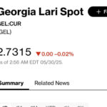 At Bloomberg at 11:00 pm one dollar is traded for 2.7315 GEL