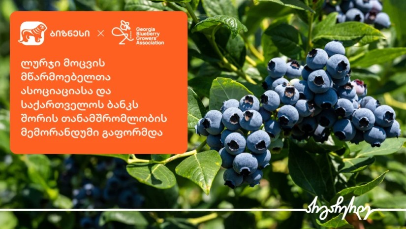 ლურჯი მოცვის მწარმოებელთა ასოციაციასა და საქართველოს ბანკს შორის თანამშრომლობის მემორანდუმი გაფორმდა