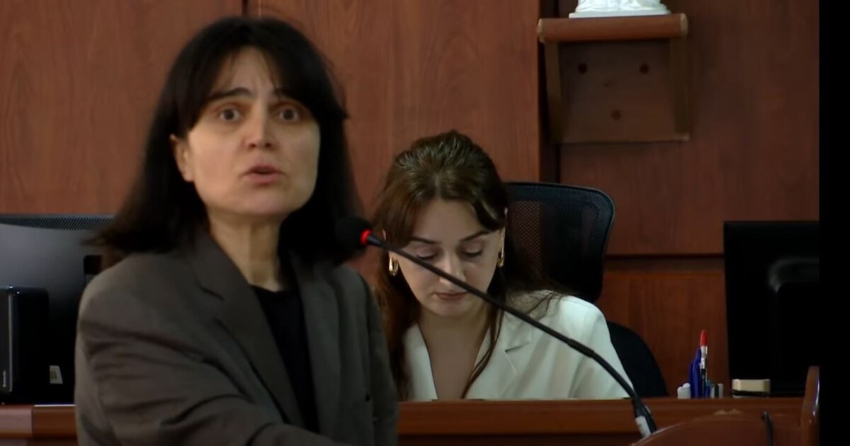 “ტკივილის ობიექტური ნიშნები არ იკვეთება” – სპეციალისტი მზია ამაღლობელის მიერ დგებუაძისთვის გაწნულ სილაზე