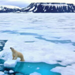 By 2050, even a 20 cm increase in sea level will result in at least $ 1 trillion dollar loss in the world's 136 largest coastal cities-research (BM.GE)