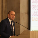 What issues did Irakli Lekvinadze talk about about the event on the day of insurance?
