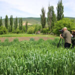 With the support of FAO, a documentary on plant genetic resources is made in Georgia