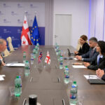 Mariam Kvrivishvili met with the Ambassador of the United Kingdom to Georgia - what they talked about