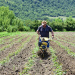 Agricultural products have increased by 13.3%