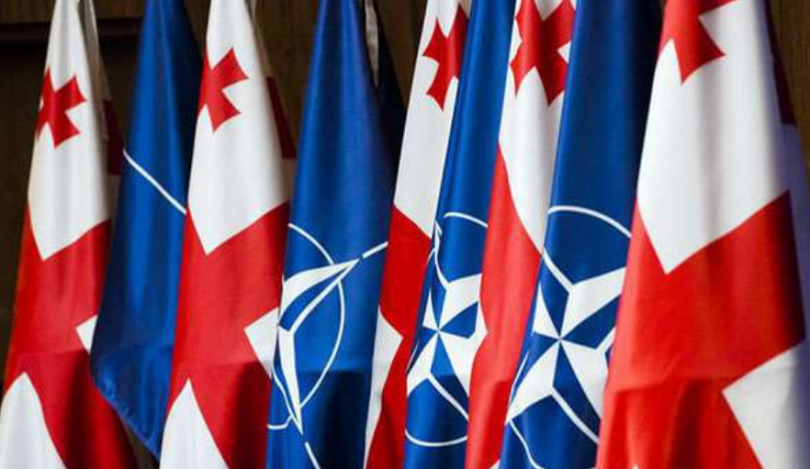 ნატოს წარმომადგენელი: მოკავშირეები შეშფოთებულნი არიან საქართველოს ტრაექტორიასთან დაკავშირებით