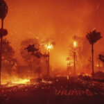 Munich Re, due to the fires in California, the first quarter of net profit has almost doubled