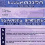 Additional requirements for foreigners to obtain a driving license have been set for foreigners in Georgia