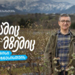TBC Agribusiness - Adjarian Blue Blue Blueberry Travel to Western Markets