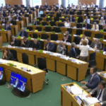 The European Parliament Foreign Committee has received another critical report against the Georgian Dream