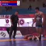 Georgian athletes have won 4 medals at the U -15 Championship
