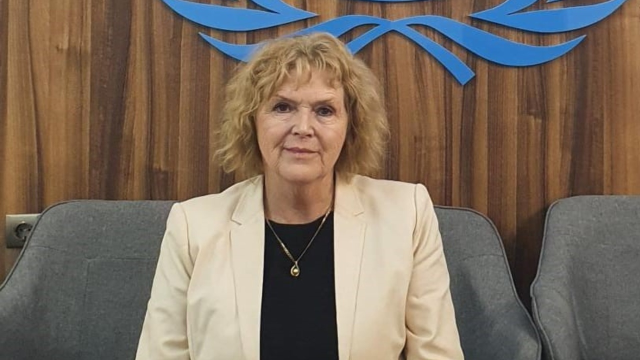 “გამოიყენება ხელისუფლბის კრიტიკოსთა გასჩუმებლად” – გაეროს მომხსენებელი პოსტების გამო დაჯარიმებაზე