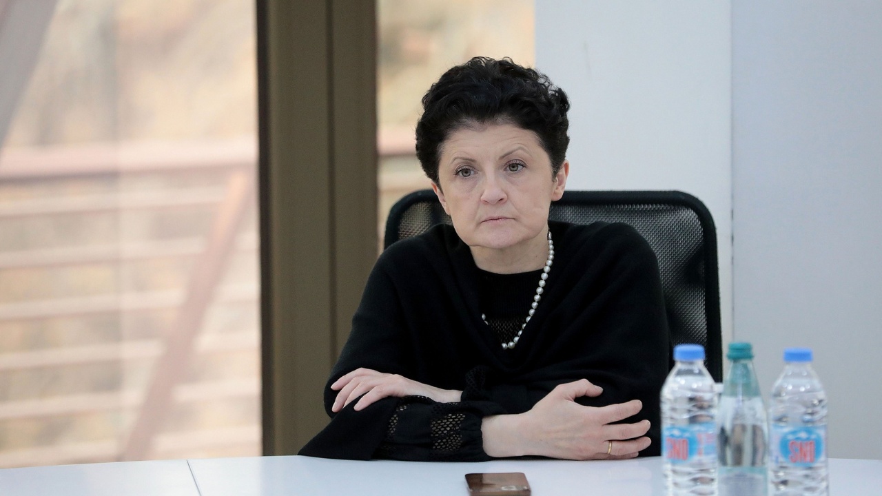 წულუკიანი ადასტურებს, რომ EU-ში უვიზოს შეჩერებაზე რეალურად მსჯელობენ