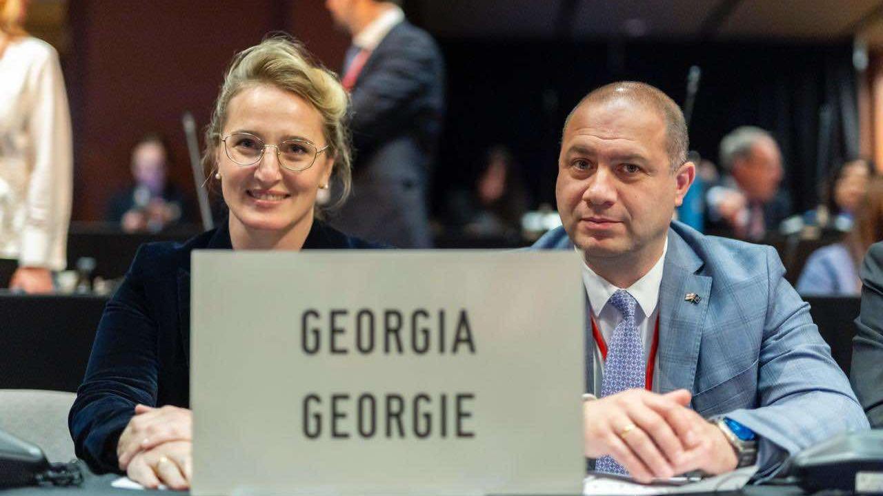 მედია: NATO PA ადასტურებს საქართველოს დელეგაციის პრივილეგიების შეზღუდვას