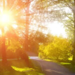 What kind of summer does Georgia expect?