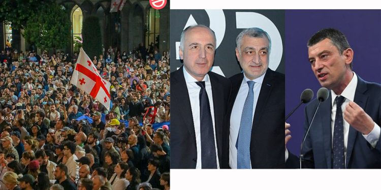 “გახარია და “ლელო”, აგერ ხალხი და აგერ თქვენ, კითხეთ არჩევნებზე – ამაზე დიდი კვლევა რა გინდათ?” – თამო კეშელავა