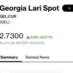 At Bloomberg at 11:00 pm one dollar is traded for 2.7300 GEL