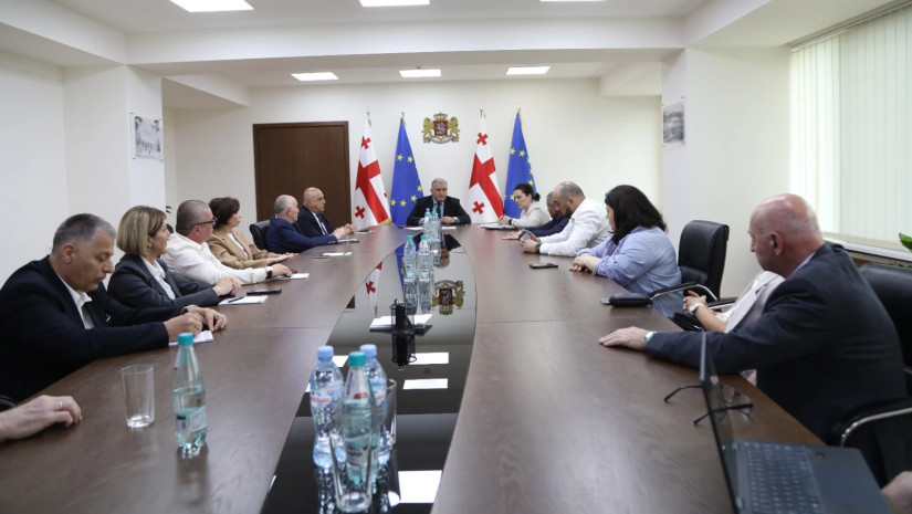რა საკითხები განიხილა მიხეილ სარჯველაძემ პროფესიული განვითარების საბჭოს წევრებთან შეხვედრაზე?