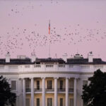 The White House calls on the Senate to soften the bill of Russian sanctions - WSJ