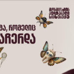 Gorgiladze's unbearable lightness - a program that did not stop