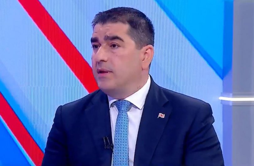 პაპუაშვილი: საჩივრების მეორე და მოპასუხე მხარე სინამდვილეში ევროკავშირის ელჩია