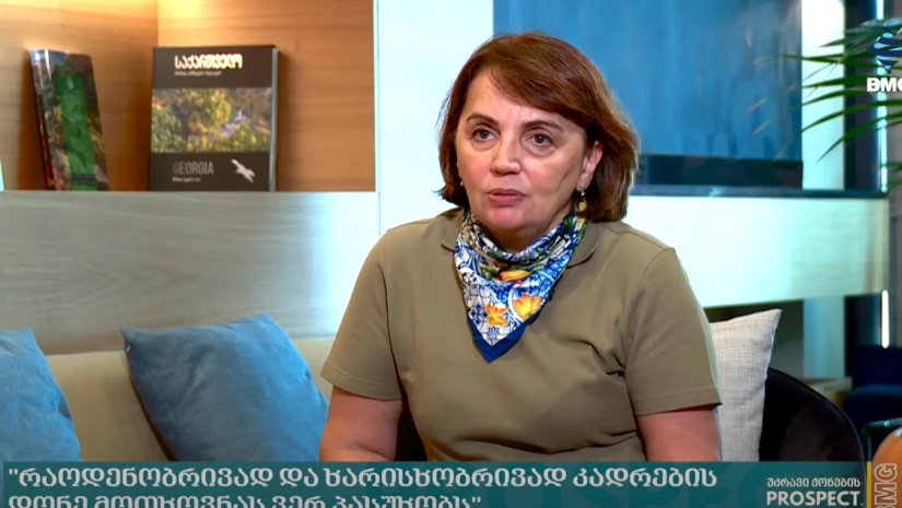 “ტურიზმის ინდუსტრიაში რაოდენობრივად და ხარისხობრივად კადრების დონე მოთხოვნას ვერ პასუხობს” – წერეთელი