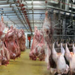 Slaughter services have increased, and the number has decreased