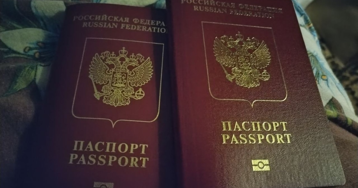 რუსეთის სახელმწიფო სათათბირომ გააფართოვა მოპოვებული მოქალაქეობის ჩამორთმევის საფუძვლები