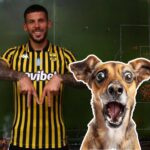 The dog has a Spanish football player on the genitals - may require surgery