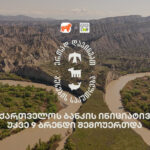 Bank of Georgia X CNF: 9 brands have already joined the campaign to protect nature