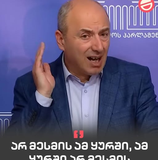 გურამ მაჭარაშვილი “ფორმულას” ჟურნალისტს: არ მესმის ამ ყურში, ამ ყურში არ მესმის