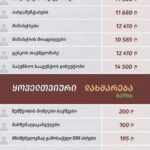 Merab Metreveli: People's caring government