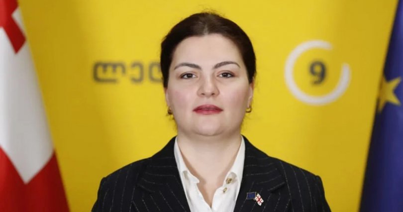 ნაცვლიშვილი: დავტოვე ლელოს პოლიტიკური საბჭო