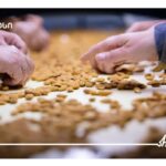 საქართველოს ბანკის მხარდაჭერით, ფარმინგ ქონსთრაქშენმა ნუშის გადამამუშავებელი ქარხანა ააშენა