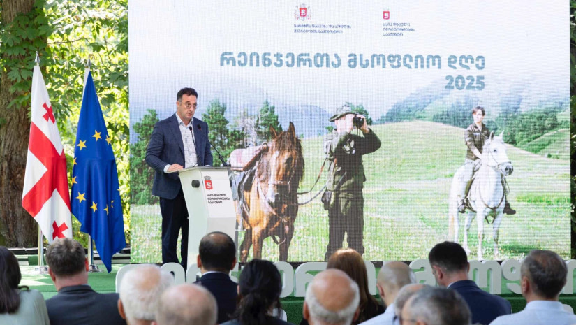 „საქართველოს უნიკალურ ბუნებას, დაცული ტერიტორიების ფარგლებში, 21 ადმინისტრაციულ ერთეულში გადანაწილებული 500-მდე რეინჯერი იცავს“ – დავით სონღულაშვილი