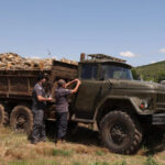 Officers of Kvemo Kartli Forestry Service revealed the fact of illegal extraction and transportation of timber