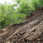 We should lessens the slopes of mountain, forests and the integrity of nature - this is the primary rule that the landslide zones do not multiply - Nino Chkhobadze